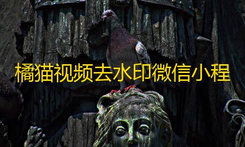 火山云服务器橘猫视频去水印微信小程序源码/自定义接口/PHP后端对接